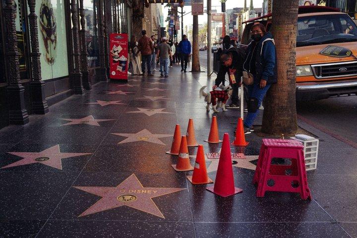 ハリウッドのネオンライトと映画レジェンド屋外ウォーキングツアー