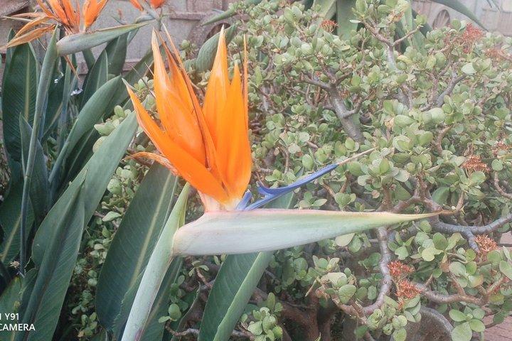 Pretoria & cullinan gruva