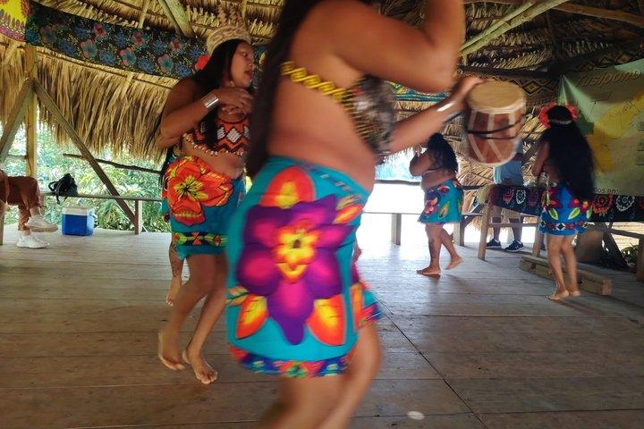 Private Experience with the Emberá Community in Panama City