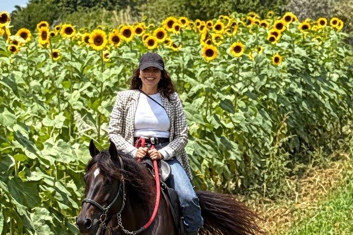 MIAMI Xplor Horseback Riding with ATV Ride