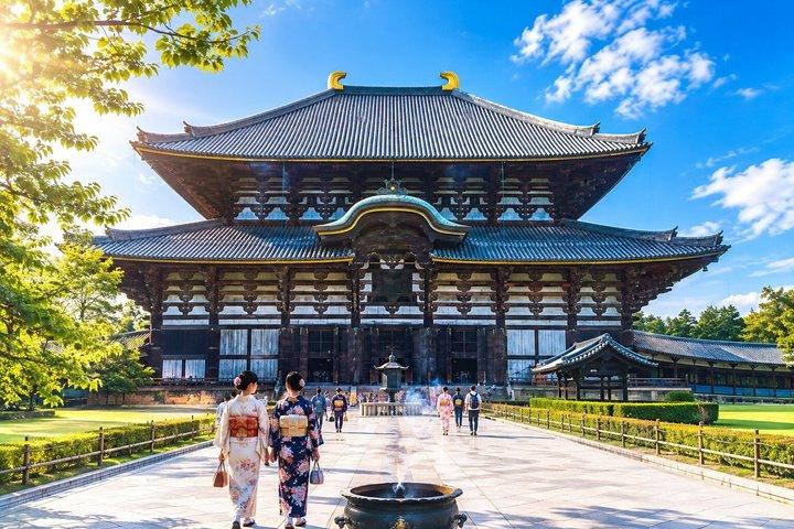 Nara Highlights Guided Tour by Private Car from Osaka