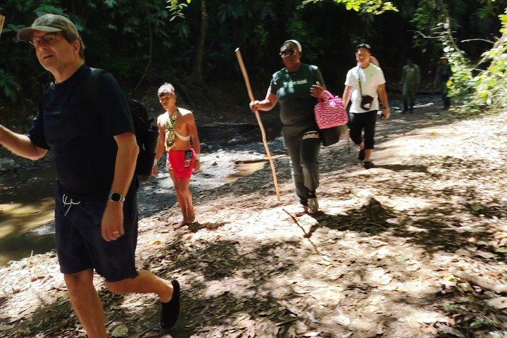 Private Experience with the Emberá Community in Panama City