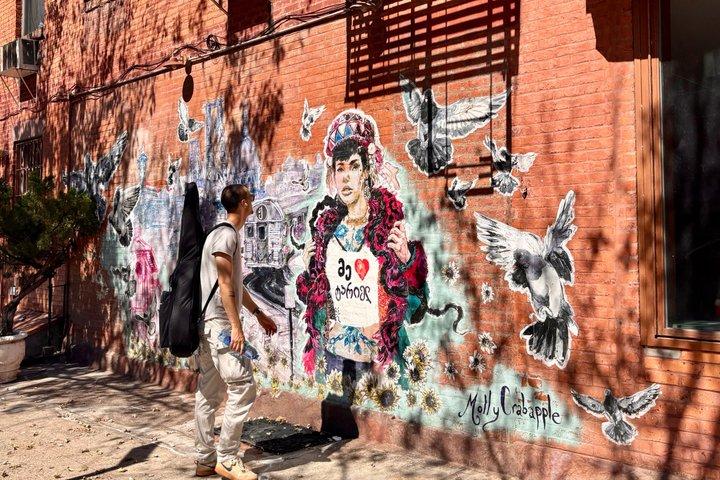Williamsburg Walking Tour in Brooklyn (Private)