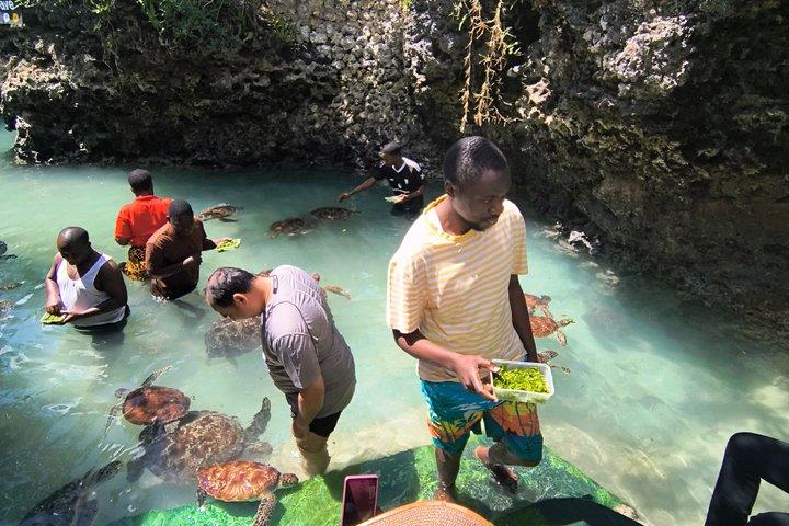 Full - Day Private Zanzibar Tour with dolphins & Sunset Beach