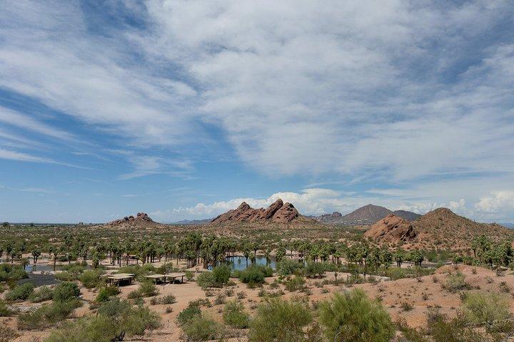 Downtown Phoenix History & Highlights Van Tour - 10am-1pm