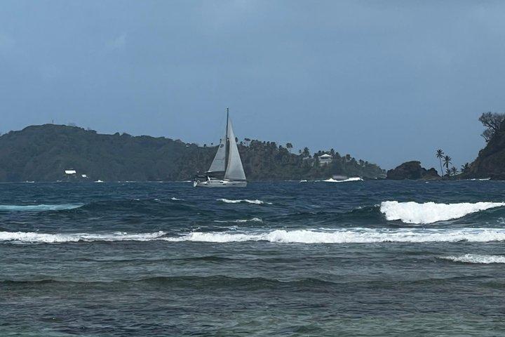 カリブ海の真ん中、天然プール付きのマミー島プライベート ツアー