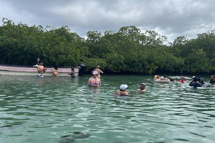 カリブ海の真ん中、天然プール付きのマミー島プライベート ツアー