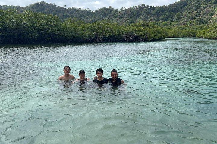 カリブ海の真ん中、天然プール付きのマミー島プライベート ツアー