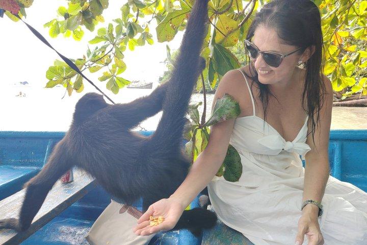 カリブ海の真ん中、天然プール付きのマミー島プライベート ツアー