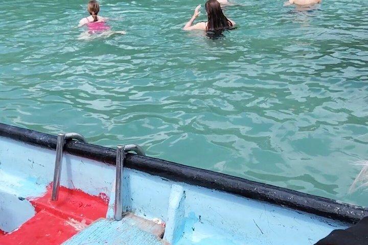 カリブ海の真ん中、天然プール付きのマミー島プライベート ツアー