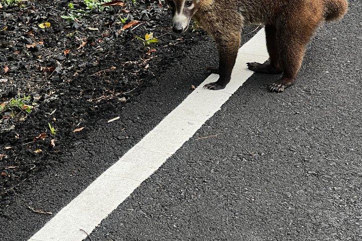 アグア・クララ水門、ミラドール、カスティージョ・サン・ロレンソ、そして第三橋