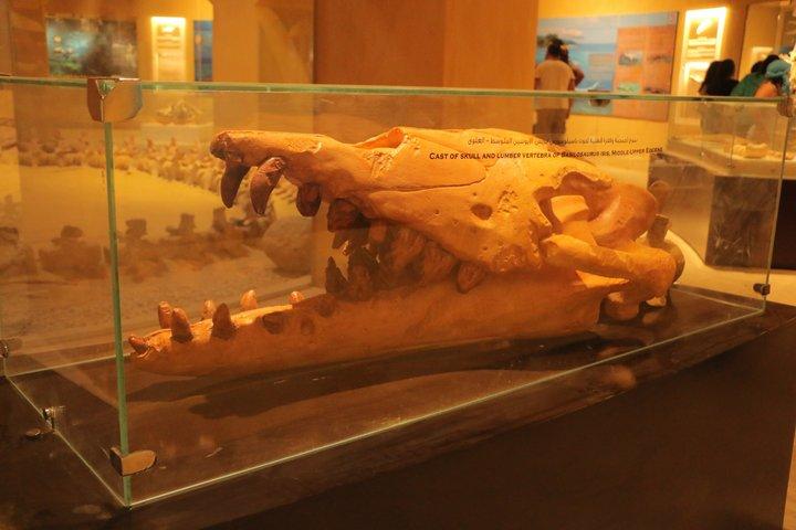 ワディ・エル・ヒタン日帰りツアー：クジラ渓谷とサンドボードアドベンチャー