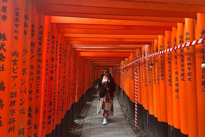 英語ガイド付き 東京から大阪への3日間ハイライトツアー