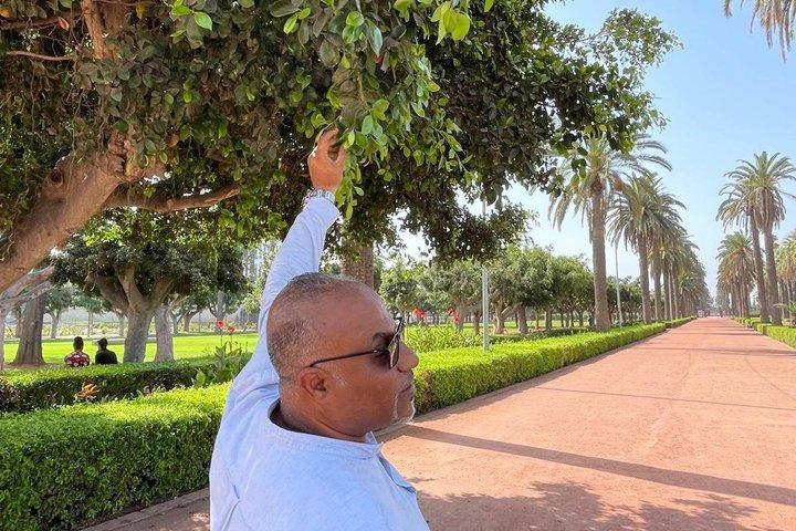 Casablanca Unveiled The Hidden Secrets Tour
