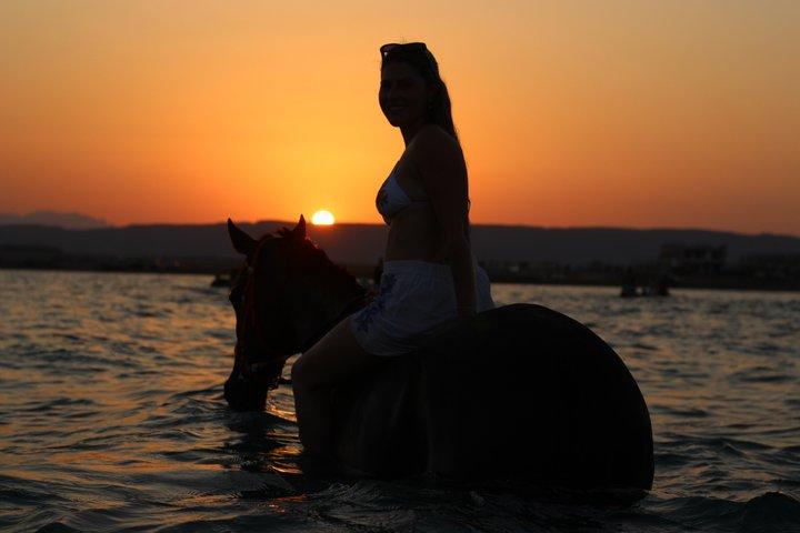 ハルガダでの馬との水泳乗馬 | ビーチ＆砂漠