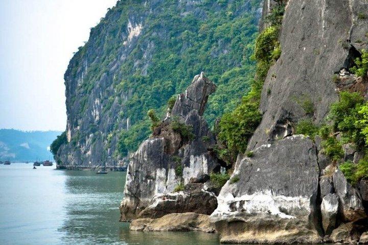 ハノイ発、高速バスでドラゴンフライクルーズによるハロン湾1日観光