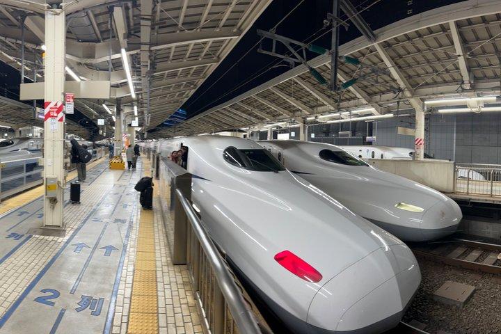 英語ガイド付き 東京から大阪への3日間ハイライトツアー