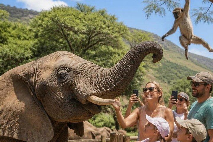 Tur till elefant- och apreservat från Johannesburg