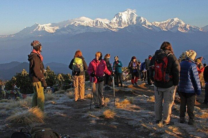 Majestic Views & Mountain Trails: Pokhara 5-Day Poon Hill Treks