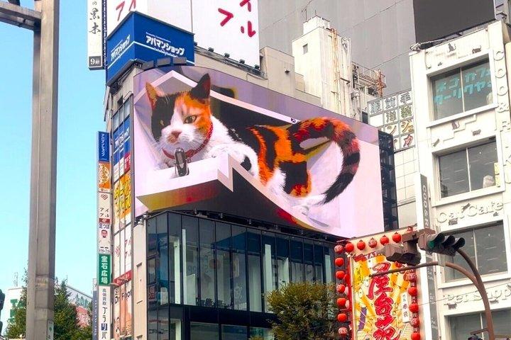 東京 ごとくじ縁結び猫寺、新宿キャットカフェ＆巨大3D猫