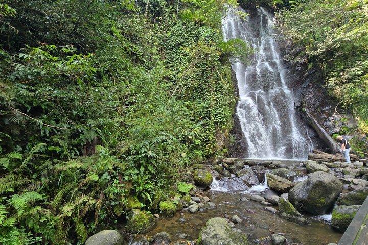 Private Full Day Tour from Batumi to Waterfalls