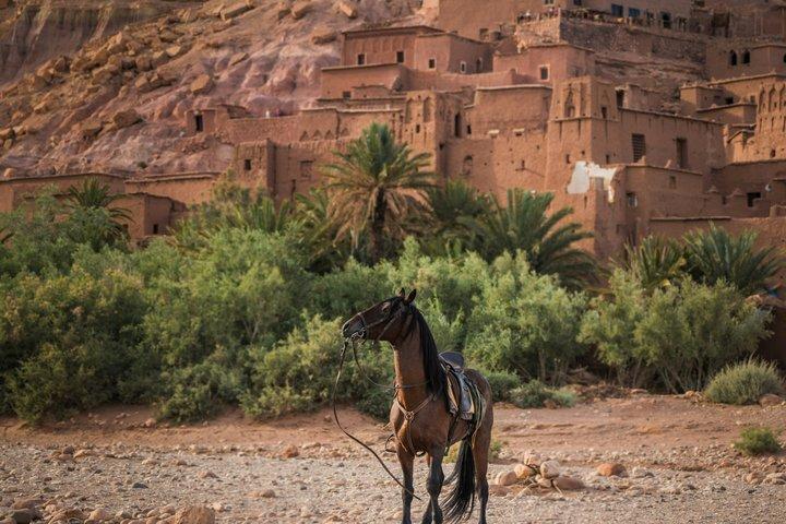 アイト・ベン・ハドゥ日帰り旅行：マラケシュからウアルサテ\アトラス山脈
