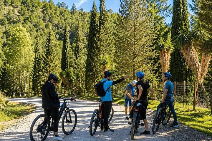 モンテス・デ・マラガ自然公園 E-マウンテンバイクツアー