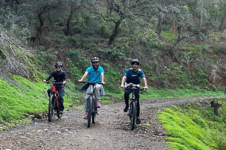 モンテス・デ・マラガ自然公園 E-マウンテンバイクツアー