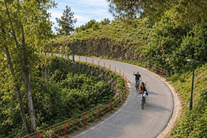 モンテス・デ・マラガ自然公園 E-マウンテンバイクツアー