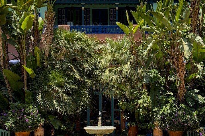 Besök i Majorelle-trädgården