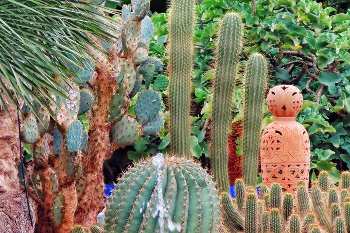 Besök i Majorelle-trädgården