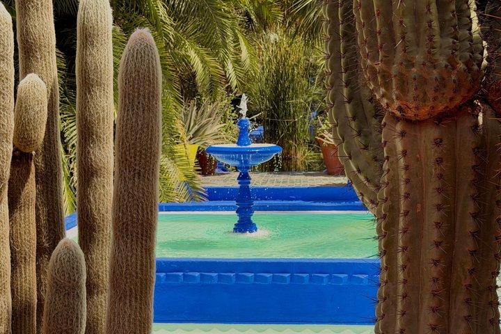 Besök i Majorelle-trädgården