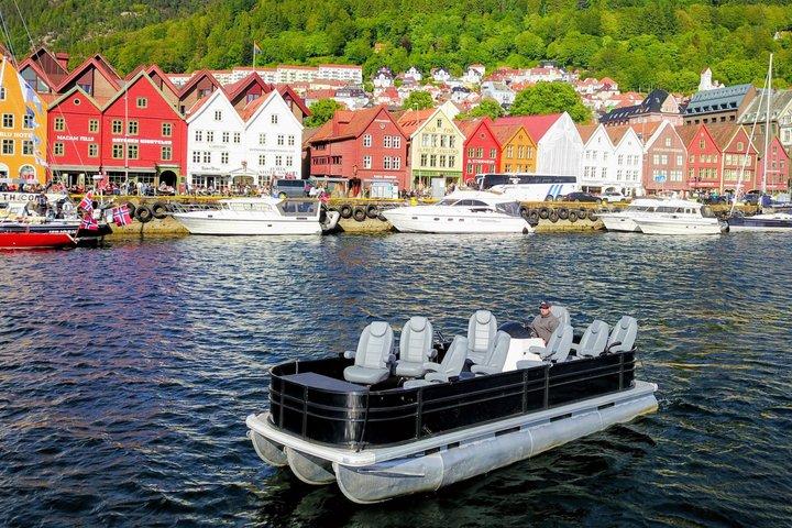 Stad- eller fjordkryssning med Zodiac-snabbbåt eller lyxig pontonbåt