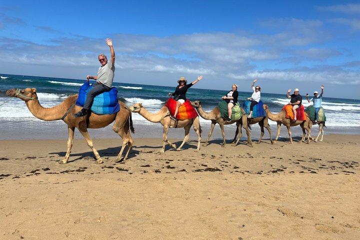 Tangier Highlights: 4-Hour Private Tour & Camel Ride