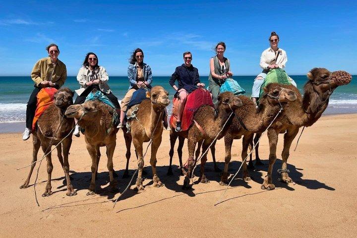 Tangier Highlights: 4-Hour Private Tour & Camel Ride