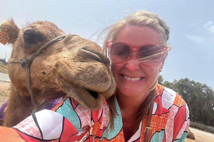 Tangier Highlights: 4-Hour Private Tour & Camel Ride