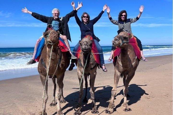 Tangier Highlights: 4-Hour Private Tour & Camel Ride