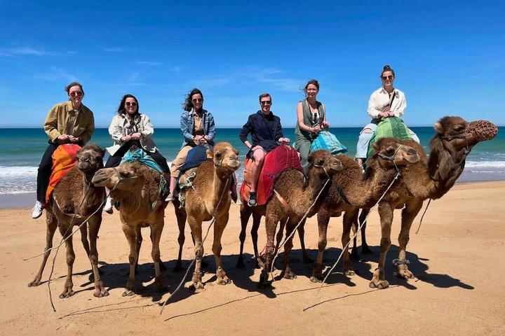 Tangier Highlights: 4-Hour Private Tour & Camel Ride