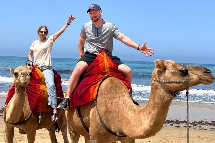 Tangier Highlights: 4-Hour Private Tour & Camel Ride