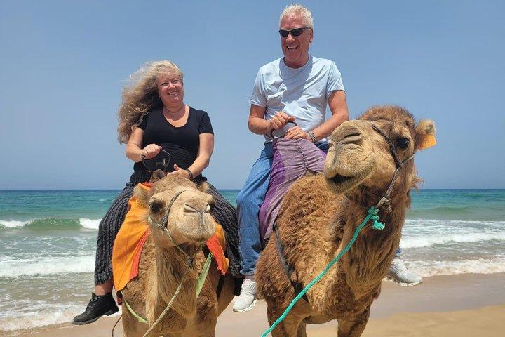 Tangier Highlights: 4-Hour Private Tour & Camel Ride