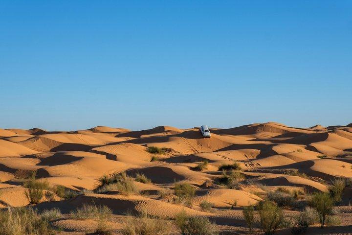 Ksar Ghilane Oasis Overnight Tour from Douz