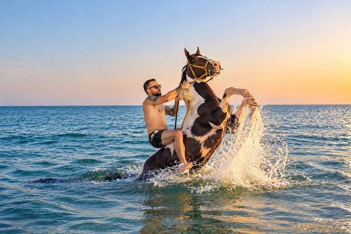 ハルガダでのビーチと砂漠での2時間の乗馬体験