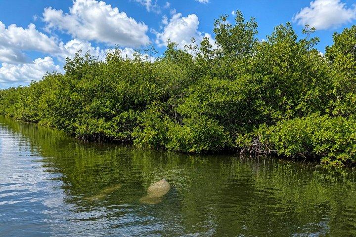 Florida Keys: Snorkeling and Sandbar