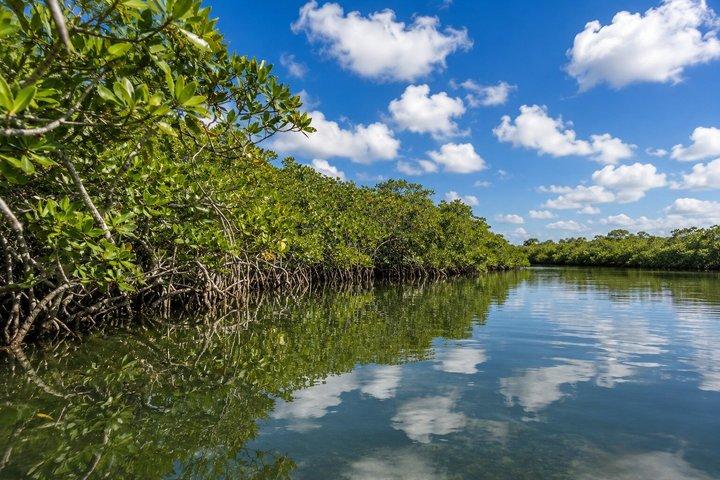 Florida Keys: Snorkeling and Sandbar