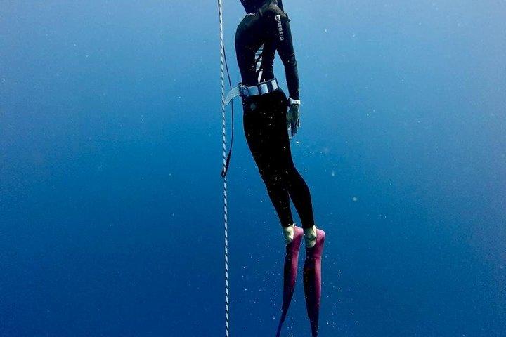 Discover Freediving with Underdog Divers Aruba