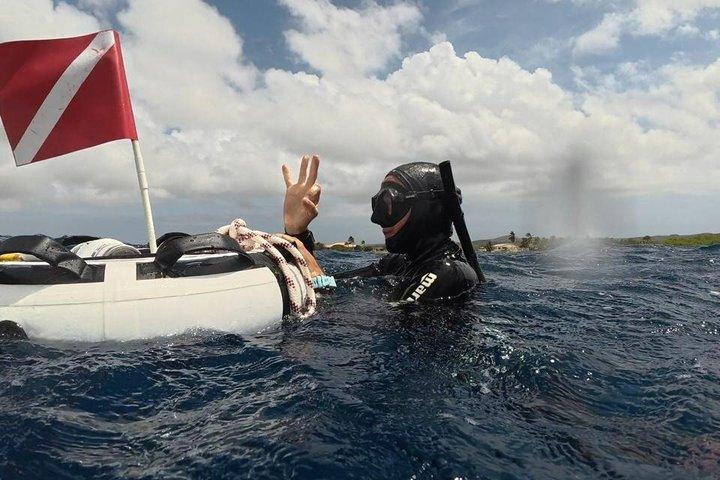 Entdecken Sie Freitauchen mit Underdog Divers Aruba