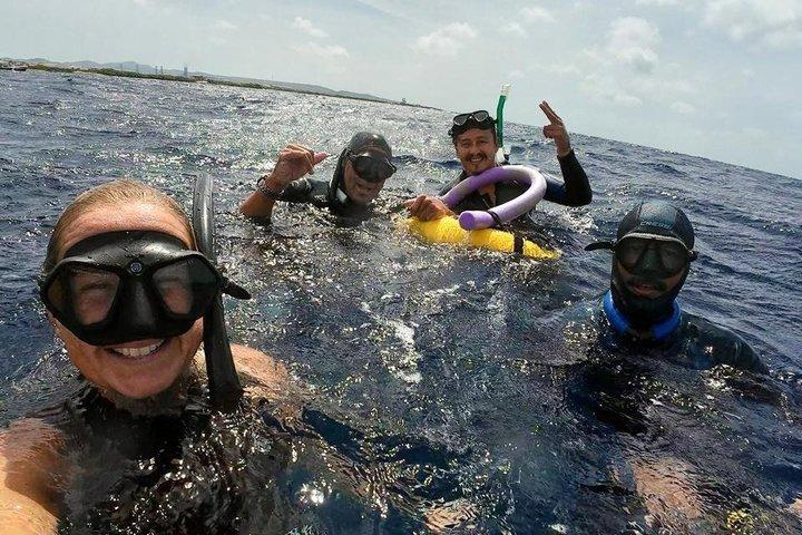 Entdecken Sie Freitauchen mit Underdog Divers Aruba