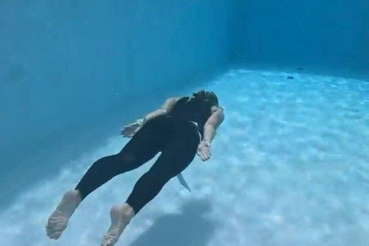 Entdecken Sie Freitauchen mit Underdog Divers Aruba