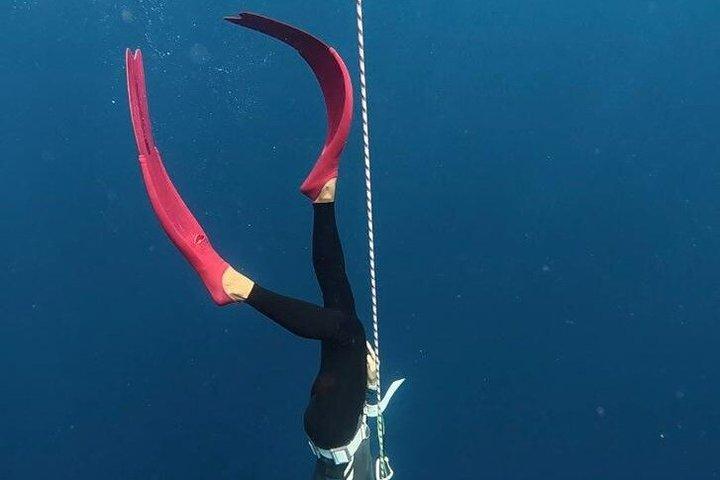 Entdecken Sie Freitauchen mit Underdog Divers Aruba