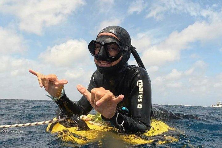 Entdecken Sie Freitauchen mit Underdog Divers Aruba